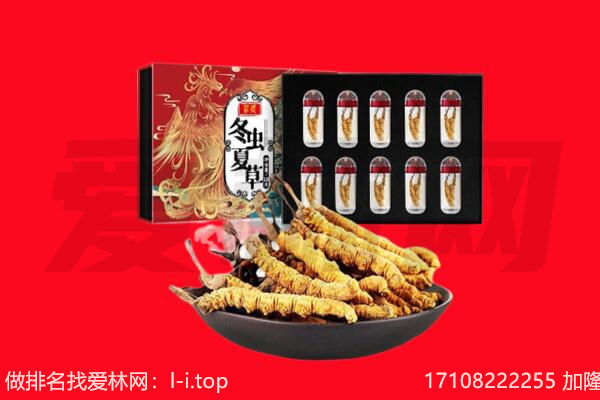 海林市回收虫草.jpg